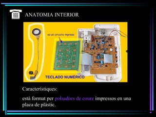 ANATOMIA INTERIOR
Característiques:
està format per polsadors de coure impressos en una
placa de plàstic.
 