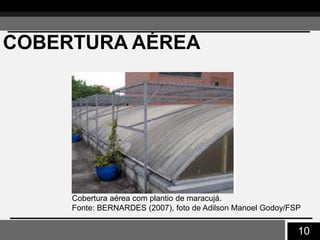 10
COBERTURA AÉREA
Cobertura aérea com plantio de maracujá.
Fonte: BERNARDES (2007), foto de Adilson Manoel Godoy/FSP
 
