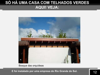 12
SÓ HÁ UMA CASA COM TELHADOS VERDES
AQUI! VEJA:
Bosque das orquídeas
E foi instalado por uma empresa do Rio Grande do Sul.
 