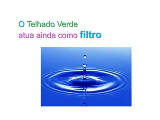 O Telhado Verde
atua ainda como filtro
 