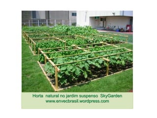 Horta natural no jardim suspenso SkyGarden
      www.envecbrasil.wordpress.com
 