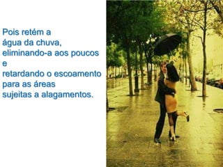 Pois retém a
água da chuva,
eliminando-a aos poucos
e
retardando o escoamento
para as áreas
sujeitas a alagamentos.
 