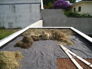 Telhado verde casos2