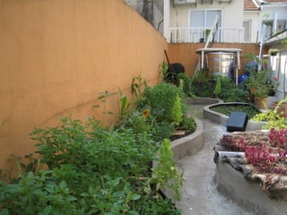 Telhado verde casos2