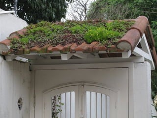 Telhado verde casos2