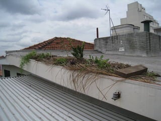 Telhado verde casos2