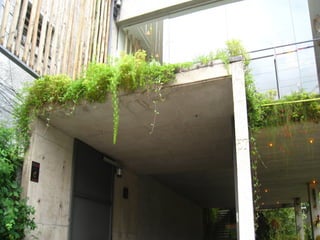 Telhado verde casos2