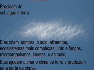 Telhado verde casos2