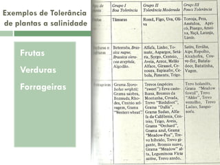 Exemplos de Tolerância
de plantas a salinidade

Frutas

•

Verduras

•

Forrageiras

•

 