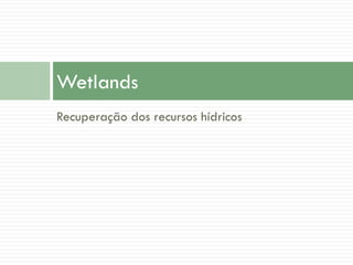 Wetlands
Recuperação dos recursos hídricos

 