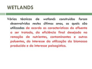 WETLANDS
Várias técnicas de wetlands construídas foram
desenvolvidas nestes últimos anos, as quais são
utilizadas de acordo as características do efluente
a ser tratado, da eficiência final desejada na
remoção de nutrientes, contaminantes e outros
poluentes, do interesse da utilização da biomassa
produzida e do interesse paisagístico.

 
