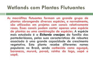 Wetlands com Plantas Flutuantes
As macrófitas flutuantes formam um grande grupo de
plantas abrangendo diversas espécies, e normalmente,
são utilizadas em projetos com canais relativamente
rasos. Esses canais podem conter apenas uma espécie
de plantas ou uma combinação de espécies. A espécie
mais estudada é a Eichornia crassipes da família das
pontederiáceas, pelas suas características de robustez
associada à uma grande capacidade de crescimento
vegetativo. Esta planta recebe diferentes nomes
populares no Brasil, sendo conhecido como aguapé,
baroneza, mururé, pavoá, rainha do lago, uapé e
uapê.

 