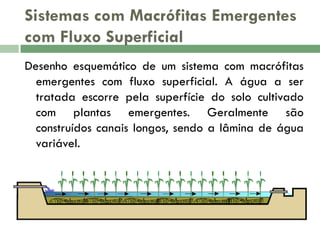 Sistemas com Macrófitas Emergentes
com Fluxo Superficial
Desenho esquemático de um sistema com macrófitas
emergentes com fluxo superficial. A água a ser
tratada escorre pela superfície do solo cultivado
com plantas emergentes. Geralmente são
construídos canais longos, sendo a lâmina de água
variável.

 