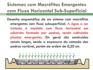 Sistemas com Macrófitas Emergentes
com Fluxo Horizontal Sub-Superficial
Desenho esquemático de um sistema com macrófitas
emergentes com fluxo subsuperficial. A água a ser
tratada é mantida com fluxo horizontal em
substrato formado por pedras, sendo cultivadas
plantas emergentes. Em geral são construídos
canais longos, sendo a expessura da camada das
pedras variável, porém da ordem de 0,50 cm.

 