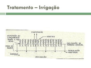 Tratamento – Irrigação

 