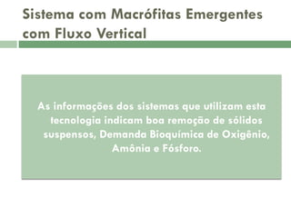 Sistema com Macrófitas Emergentes
com Fluxo Vertical

As informações dos sistemas que utilizam esta
tecnologia indicam boa remoção de sólidos
suspensos, Demanda Bioquímica de Oxigênio,
Amônia e Fósforo.

 