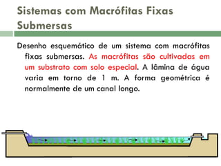 Sistemas com Macrófitas Fixas
Submersas
Desenho esquemático de um sistema com macrófitas
fixas submersas. As macrófitas são cultivadas em
um substrato com solo especial. A lâmina de água
varia em torno de 1 m. A forma geométrica é
normalmente de um canal longo.

 