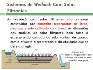 Sistemas de Wetlands Com Solos
Filtrantes
As wetlands com solos filtrantes são sistemas
constituídos por camadas superpostas de brita,
pedrisco e solo cultivado com arroz. As dimensões
dos módulos de solos filtrantes, bem como a
espessura da camada do solo, variam de acordo
com o efluente a ser tratado e da eficiência que se
deseja atingir.
A água a ser
tratada é lançada sobre solo
cultivado com arroz ou outra
macrófita emergente

 