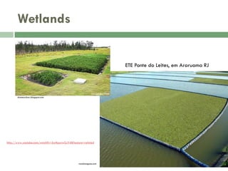 Wetlands

ETE Ponte do Leites, em Araruama RJ

domescobar.blogspot.com

http://www.youtube.com/watch?v=6xMpuvwGJY4&feature=related

vozdasaguas.com

 