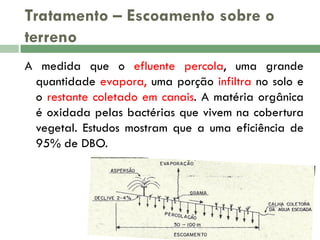 Tratamento – Escoamento sobre o
terreno
A medida que o efluente percola, uma grande
quantidade evapora, uma porção infiltra no solo e
o restante coletado em canais. A matéria orgânica
é oxidada pelas bactérias que vivem na cobertura
vegetal. Estudos mostram que a uma eficiência de
95% de DBO.

 