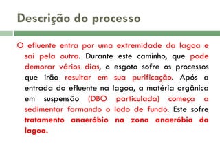 Descrição do processo
O efluente entra por uma extremidade da lagoa e
sai pela outra. Durante este caminho, que pode
demorar vários dias, o esgoto sofre os processos
que irão resultar em sua purificação. Após a
entrada do efluente na lagoa, a matéria orgânica
em suspensão (DBO particulada) começa a
sedimentar formando o lodo de fundo. Este sofre
tratamento anaeróbio na zona anaeróbia da
lagoa.

 