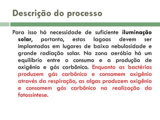 Descrição do processo
Para isso há necessidade de suficiente iluminação
solar, portanto, estas lagoas devem ser
implantadas em lugares de baixa nebulosidade e
grande radiação solar. Na zona aeróbia há um
equilíbrio entre o consumo e a produção de
oxigênio e gás carbônico. Enquanto as bactérias
produzem gás carbônico e consomem oxigênio
através da respiração, as algas produzem oxigênio
e consomem gás carbônico na realização da
fotossíntese.

 