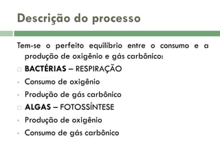 Descrição do processo
Tem-se o perfeito equilíbrio entre o consumo e a
produção de oxigênio e gás carbônico:
 BACTÉRIAS – RESPIRAÇÃO
 Consumo de oxigênio
 Produção de gás carbônico
 ALGAS – FOTOSSÍNTESE
 Produção de oxigênio
 Consumo de gás carbônico

 