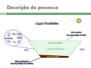 Descrição do processo

 