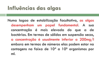Influências das algas
Numa lagoa de estabilização facultativa, as algas
desempenham um papel fundamental. A sua
concentração é mais elevada do que a de
bactérias. Em termos de sólidos em suspensão secos,
a concentração é usualmente inferior a 200mg/l
embora em termos de números elas podem estar na
contagens na faixa de 104 a 106 organismos por
ml.

 