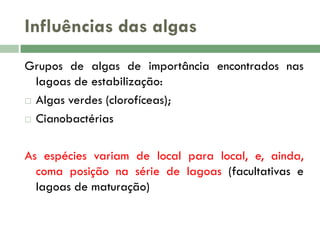 Influências das algas
Grupos de algas de importância encontrados nas
lagoas de estabilização:
 Algas verdes (clorofíceas);
 Cianobactérias
As espécies variam de local para local, e, ainda,
coma posição na série de lagoas (facultativas e
lagoas de maturação)

 