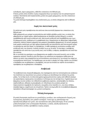 κυλινδρικές, έχουν γραμμώσεις, αλλά δεν υπακούουν στη θέλησή μας.
Ο λείος μυϊκός ιστός επενδύει κυρίως τοιχώματα όπως των αγγείων και του γαστρεντερικού
σωλήνα. Αποτελείται από ατρακτοειδείς μυϊκές ίνες χωρίς γραμμώσεις, που δεν υπακούουν
στη θέλησή μας.
Το μυϊκό σύστημα περιλαμβάνει τους σκελετικούς μυς, οι οποίοι ελέγχονται από τη θέλησή
μας.
Δομή του σκελετικού μυός
Οι σκελετικοί μύες προσφύονται στα οστά και είναι αυτοτελή όργανα που υπακούουν στη
θέλησή μας .
Κάθε γραμμωτός μυς μπορεί να αποτελείται από πολλές χιλιάδες μυϊκές ίνες, οι οποίες δεν
αθροίζονται με τυχαίο τρόπο, αλλά διατάσσονται σε δεσμίδες (μυϊκές δέσμες), οι οποίες
περιβάλλονται από πυκνό συνδετικό ιστό. Από πυκνό συνδετικό ιστό περιβάλλεται και ο μυς .
Οι γραμμωτοί μύες, ανάλογα με τη μορφολογία τους, διακρίνονται σε σφιγκτήρες (σφιγκτήρας
στόματος), πλατείς (πλατύς ραχιαίος) και μακρούς (τρικέφαλος βραχιόνιος). Σε γενικές γραμμές
ένας μακρύς σκελετικός μυς έχει σχήμα ατρακτοειδές και αποτελείται από ένα κεντρικό τμήμα,
τη γαστέρα και από δύο άκρα, τις προσφύσεις. Η κάθε πρόσφυση συνίσταται συνήθως από
συνδετικό ιστό, τον τένοντα, ο οποίος συνδέει το μυ με τα οστά. Το ένα άκρο, η κατάφυση,
προσφύεται στο οστό που ο μυς αυτός κινεί, ενώ το άλλο, η έκφυση, προσφύεται στο οστό που
δεν κινείται.
Με τη συστολή της γαστέρας ο μυς βραχύνεται και τραβά το ένα οστό (κινητό), ενώ το άλλο
παραμένει ακίνητο. Επειδή οι μύες δεν έχουν την ικανότητα να σπρώχνουν αλλά μόνο να
έλκουν τα οστά, είναι απαραίτητο για να επιτελέσουν μία κίνηση (π.χ. την κίνηση του πήχη) να
συνεργάζονται κατά ζεύγη. Για παράδειγμα, για να γίνει η κάμψη του πήχη, πρέπει να συσταλεί
ο δικέφαλος και να χαλαρώσει ο τρικέφαλος, ενώ για την έκτασή του πρέπει να συσταλεί ο
τρικέφαλος και να χαλαρώσει ο δικέφαλος
Αναβολικά
Τα αναβολικά είναι στεροειδή φάρμακα, που προέρχονται από την τεστοστερόνη και αυξάνουν
την ποσότητα των πρωτεϊνών των μυϊκών κυττάρων με αποτέλεσμα την αύξηση της μυϊκής
μάζας. Για το λόγο αυτό, τα τελευταία χρόνια χρησιμοποιούνται ευρέως από αθλητές (ακόμα
και ερασιτέχνες), προκειμένου να αυξήσουν τη δύναμη και την αντοχή τους. Η χρήση όμως των
φαρμάκων αυτών αυξάνει την πιθανότητα εμφάνισης καρκίνου, καταστροφής του ήπατος,
καρδιοπαθειών, αλλαγής συμπεριφοράς κ.ά. Ειδικότερα στις γυναίκες μπορεί να
παρουσιαστούν τριχοφυΐα στο πρόσωπο, ανωμαλίες στην περίοδο κ.ά., ενώ στους άνδρες,
ατροφία όρχεων, τριχόπτωση και στειρότητα. Πρέπει να σημειωθεί ότι τα αναβολικά φάρμακα
προκαλούν εθισμό.Διαταραχές του μυϊκού συστήματος
Μυϊκή δυστροφία
Η μυϊκή δυστροφία οφείλεται σε μεταλλάξεις γονιδίων, που κωδικοποιούν δομικές και
λειτουργικές πρωτεΐνες των μυϊκών κυττάρων. Αυτό έχει ως αποτέλεσμα την
προοδευτική φθορά των μυών, που συνοδεύεται από μυϊκή αδυναμία. Η πιο γνωστή
μυϊκή δυστροφία είναι η δυστροφία Duchenne, η οποία, επειδή οφείλεται σε
φυλοσύνδετο γονίδιο, προσβάλλει κυρίως αγόρια.
 