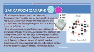 ΣΑΚΧΑΡΟΖΗ (ΖΑΧΑΡΗ)
ΑΝΝΑ ΣΑΜΑΡΑ
•Το καλαμοσάκχαρο είναι ο πιο γνωστός
δισακχαρίτης, γνωστός και ως σακχαρόζη ή ζάχαρη.
•Σχηματίζεται στους χλωροπλάστες και από εκεί
μεταφέρεται στα διάφορα όργανα και τους ιστούς,
όπου μεταβολίζεται.
•Ως αποταμιευτική ουσία βρίσκεται στο βλαστό του
σακχαροκάλαμου που καλλιεργείται στην τροπική και
υποτροπική ζώνη και στη ρίζα των σακχαρότευτλων
που καλλιεργούνται στην εύκρατη ζώνη. Από τα φυτά
αυτά βγαίνει η ζάχαρη μετά από πολλά στάδια
βιομηχανικής επεξεργασίας και σε διαφορετικό βαθμό
που θα δώσουν ζάχαρη άσπρη, καστανή ή σκόνη.
 