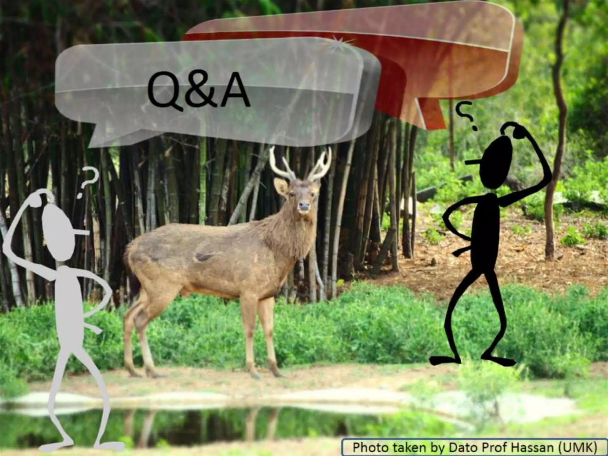 Technology Enhanced Learning 