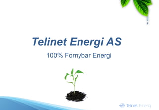 Telinet Energi AS
  100% Fornybar Energi
 