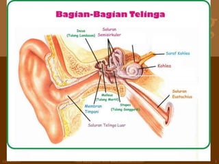 training
12/29/2015 Free Background from www.brainybetty.com 3
 