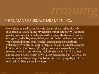 training
PROSES JALAN MASUKNYA SUARA KE TELINGA
12/29/2015 Free Background from www.brainybetty.com 8
Gelombang suara dikumpulkan oleh (daun telinga) telinga luar 
disalurkan ke lubang telinga  gendang telinga bergetar  tiga tulang
pendengaran (ossicle) ( maleus (martil)  incus (landasan)  stapes
(sanggurdi) ) di telinga tengah bergerak  disalurkan ke cairan limfa
yang berada di rumah siput (koklea) getaran akan menghasilkan
gelombang  rambut sel yang terdapat di bagian dalam koklea (organ
korti) akan bergerak (melengkung), gerakan ini mengubah energi
mekanik tersebut menjadi energi elektrik (impuls listrik)  ke saraf
pendengaran ( auditory nerve) ke pusat pendengaran di otak. Pusat ini
akan menerjemahkan energi tersebut menjadi suara yang dapat dikenal
oleh otak  disampaikan ke telinga.
 