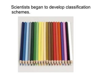 Scientists began to develop classification schemes. 
