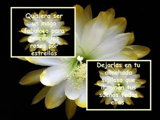Quisiera ser un mago fabuloso para trocar las rosas por estrellas Dejarlas en tu almohada sigiloso que iluminen tus sueños todas ellas   