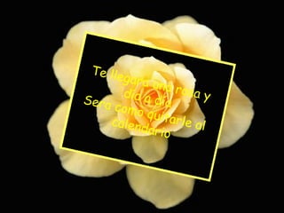 Te llegara una rosa y día a día Sera como quitarle al calendario 