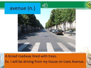 avenue (n.)
A broad roadway lined with trees.
Ex. I will be driving from my house on Liwis Avenue.
 