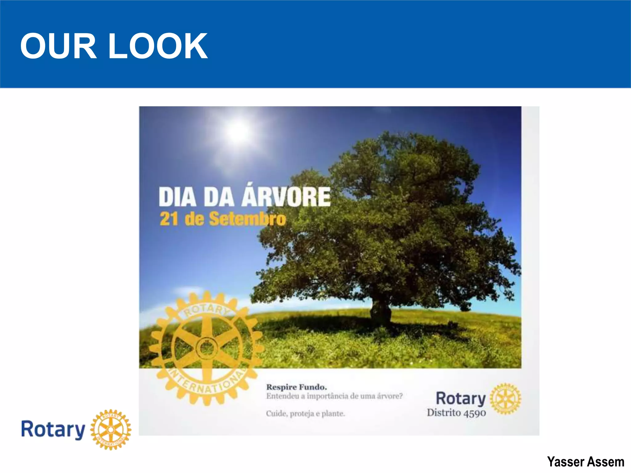 Yasser Assem
OUR LOOK
 