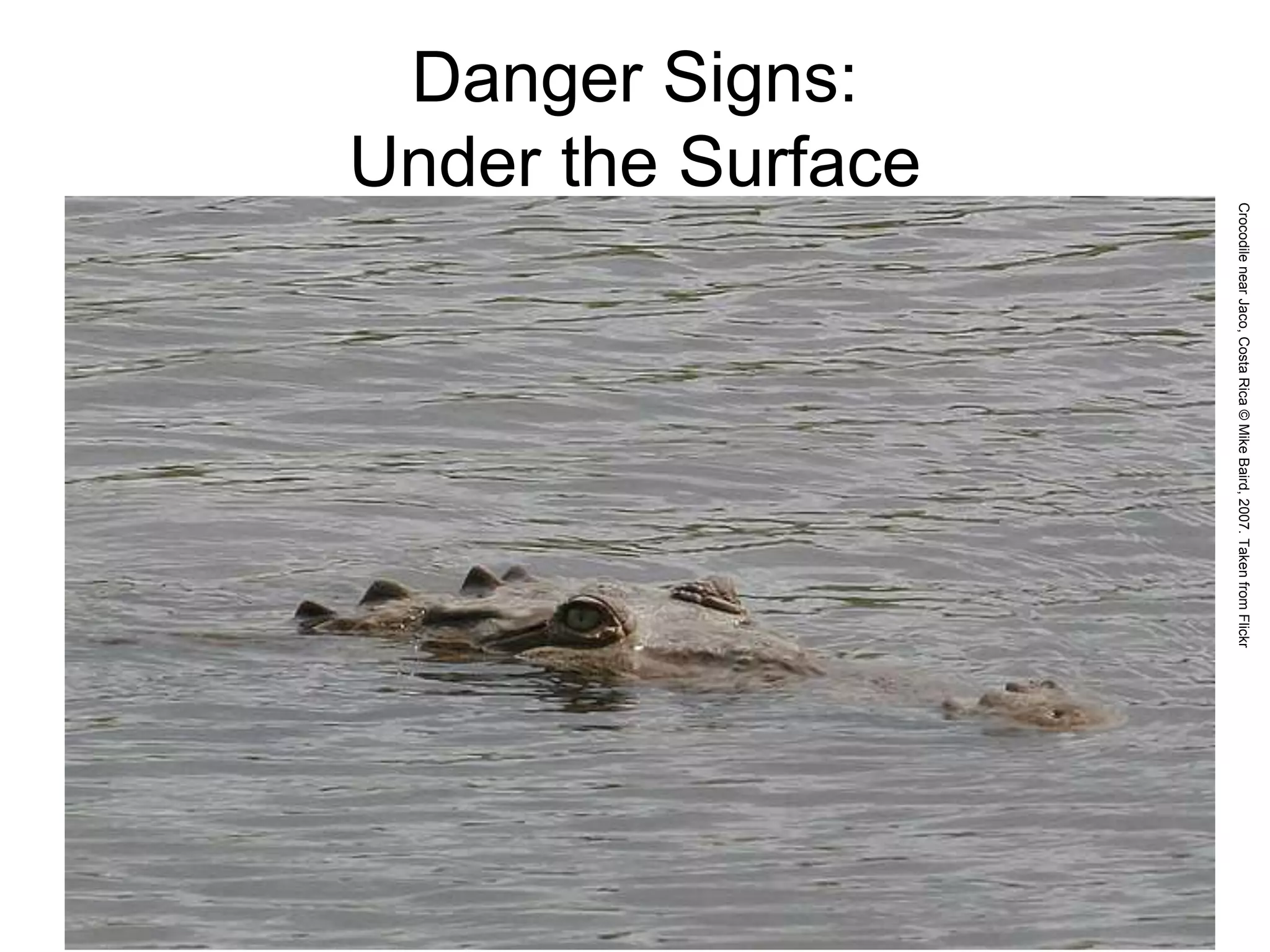 Danger Signs:
Under the Surface
CrocodilenearJaco,CostaRica©MikeBaird,2007.TakenfromFlickr
 