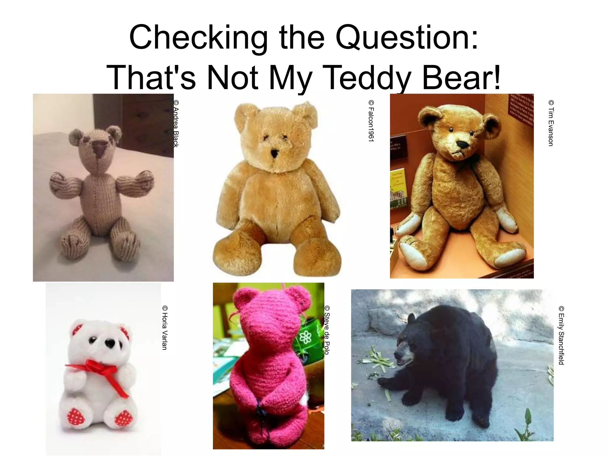 Checking the Question:
That's Not My Teddy Bear!
©HoriaVarlan
©StevedePolo
©EmilyStanchfield
©AndreaBlack
©Falcon1961
©TimEvanson
 