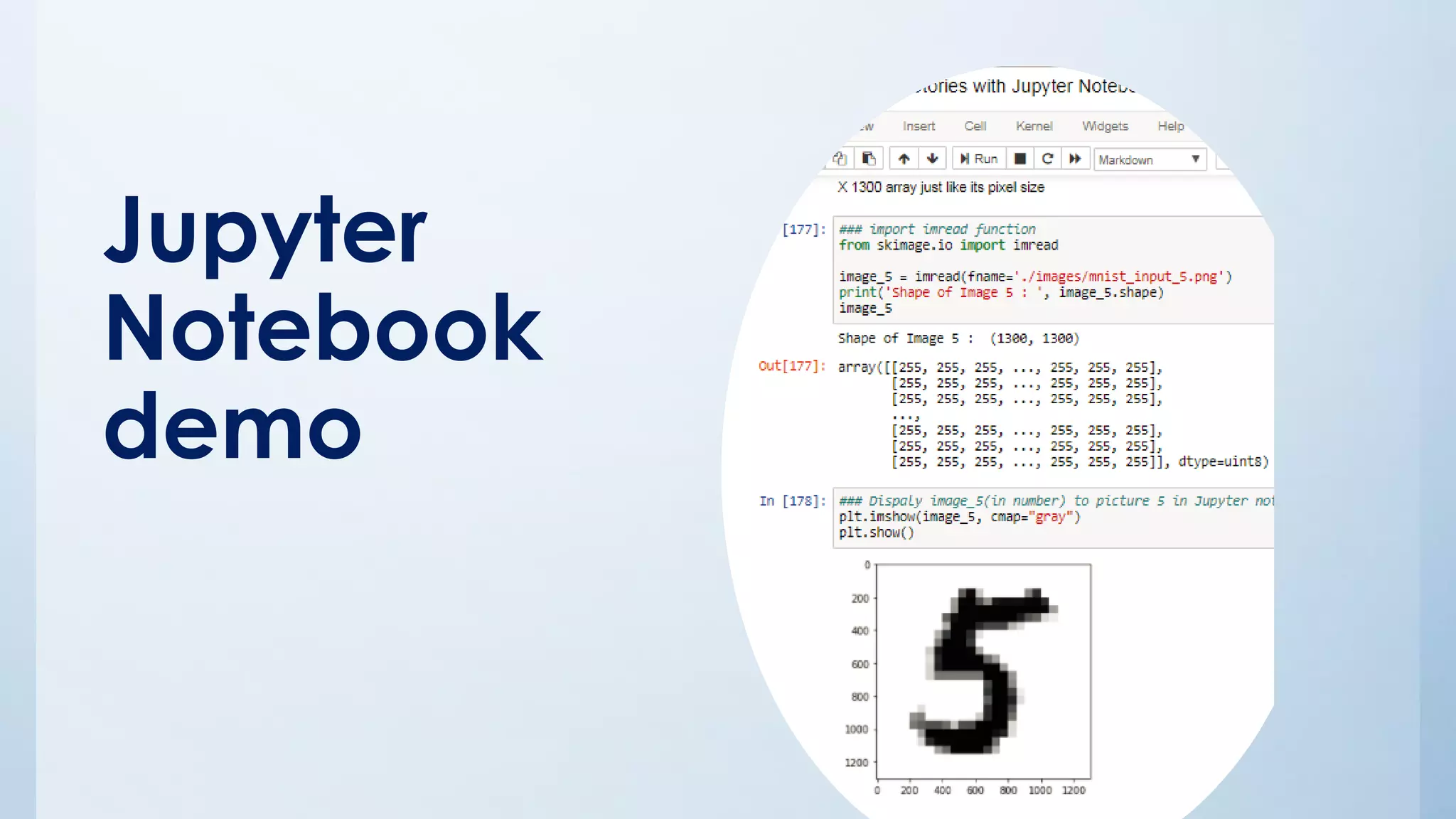 Jupyter
Notebook
demo