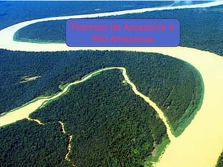 Floresta da Amazónia e
RIO Amazonas
 