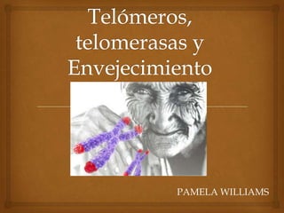 PAMELA WILLIAMS

 
