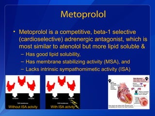 Metoprolol
• Metoprolol is a competitive, beta-1 selective
(cardioselective) adrenergic antagonist, which is
most similar to atenolol but more lipid soluble &
– Has good lipid solubility,
– Has membrane stabilizing activity (MSA), and
– Lacks intrinsic sympathomimetic activity (ISA)
Without ISA actvity With ISA actvity
 