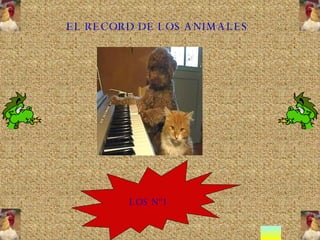 EL RECORD DE LOS ANIMALES LOS Nº1 