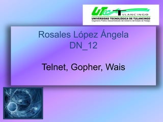 Rosales López ÁngelaDN_12Telnet, Gopher, Wais 