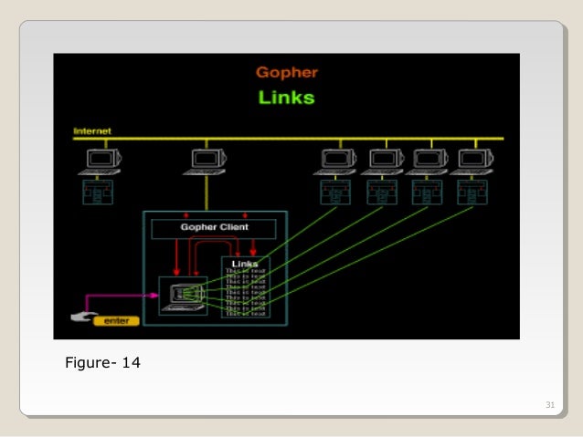 Computer Network - Telnet and Gopher